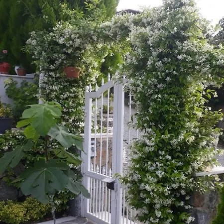للإيجار في سبنجا Hotel *